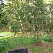 Chaumont-sur-Tharonne 29/08/2017