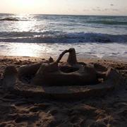 Constanța 29/08/2017