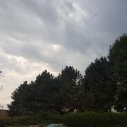 Auchy-lès-Hesdin 29/08/2017