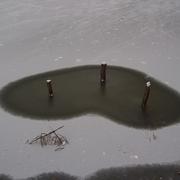 Boismorand 13/02/2010