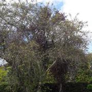 Vendœuvres 11/09/2017