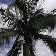 Saint-Louis 13/09/2017