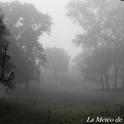 Forceville 16/09/2017