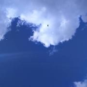 Lalbenque 16/09/2017