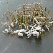 Ville-sur-Tourbe 15/02/2010