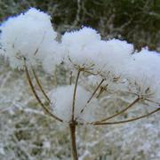 Ville-sur-Tourbe 15/02/2010