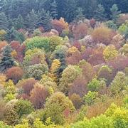 Le Chambon 03/10/2017