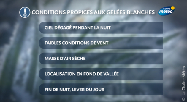 Actualités France