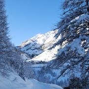 Saint-Dalmas-le-Selvage 16/02/2010