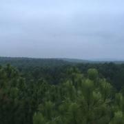 Saint-Girons-en-Marensin 14/10/2017