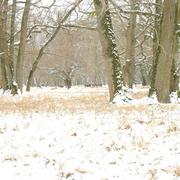 Châteauvillain 17/02/2010