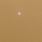 Grand-Champ 16/10/2017