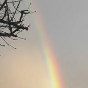 Dieue-sur-Meuse 21/10/2017