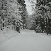 Fribourg-en-Brisgau 17/02/2010