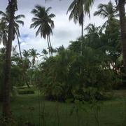 Punta Cana 28/10/2017