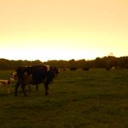 Sainte-Anne-sur-Vilaine 29/10/2017