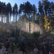 Saint-Éloy-la-Glacière 31/10/2017