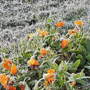 Recoubeau-Jansac 31/10/2017