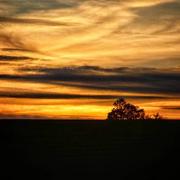 Fresquiennes 03/11/2017