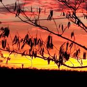 La Chapelle-Heulin 03/11/2017