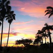 Baie-Mahault 17/11/2017