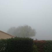 Mareuil-sur-Lay-Dissais 21/11/2017