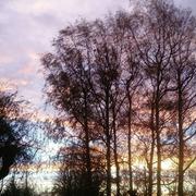 Cras-sur-Reyssouze 23/11/2017