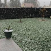 Bar-sur-Aube 26/11/2017