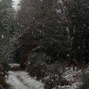 La Bourgonce 30/11/2017