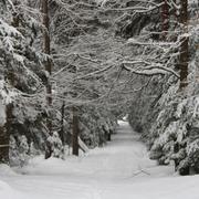 Przemyśl 23/02/2010