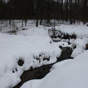 Przemyśl 23/02/2010