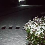 Beauchêne 01/12/2017