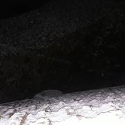 Lignerolles 01/12/2017