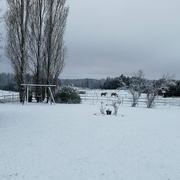 Bonnac-la-Côte 01/12/2017