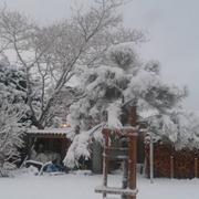 Neuvic-Entier 01/12/2017