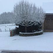 Sainte-Magnance 01/12/2017