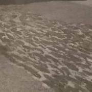 La Garde-Freinet 02/12/2017