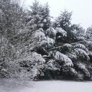 Sauret-Besserve 02/12/2017