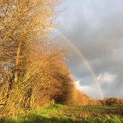 Saint-Agathon 02/12/2017