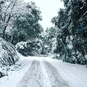La Garde-Freinet 02/12/2017