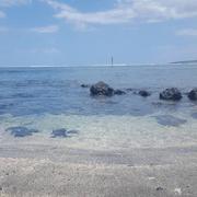 L'Étang-Salé 04/12/2017