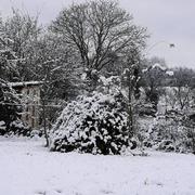 Chauvency-Saint-Hubert 04/12/2017