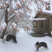 Saint-Sylvestre 05/12/2017