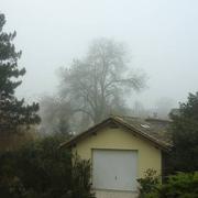 Puynormand 06/12/2017