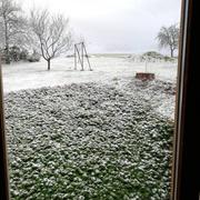 Hadol 08/12/2017
