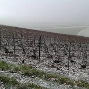Bergères-lès-Vertus 08/12/2017