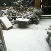 Pérenchies 10/12/2017