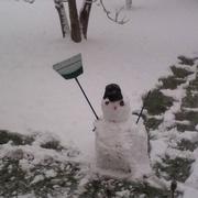 Bogny-sur-Meuse 10/12/2017