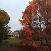 Tiffauges 10/12/2017