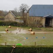 Guéhébert 11/12/2017